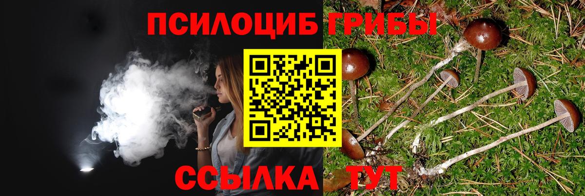 Псилоцибиновые грибы Magic Shrooms Россия