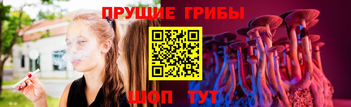 Россия  купить закладку  Вход с VPN  Галлюциногенные грибы Magic Shrooms  Галлюциногенные грибы Psilocybe 